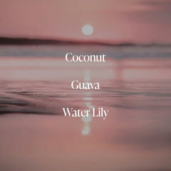 Coral Coast- Body Mist