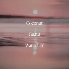 Coral Coast - Radiance Duo